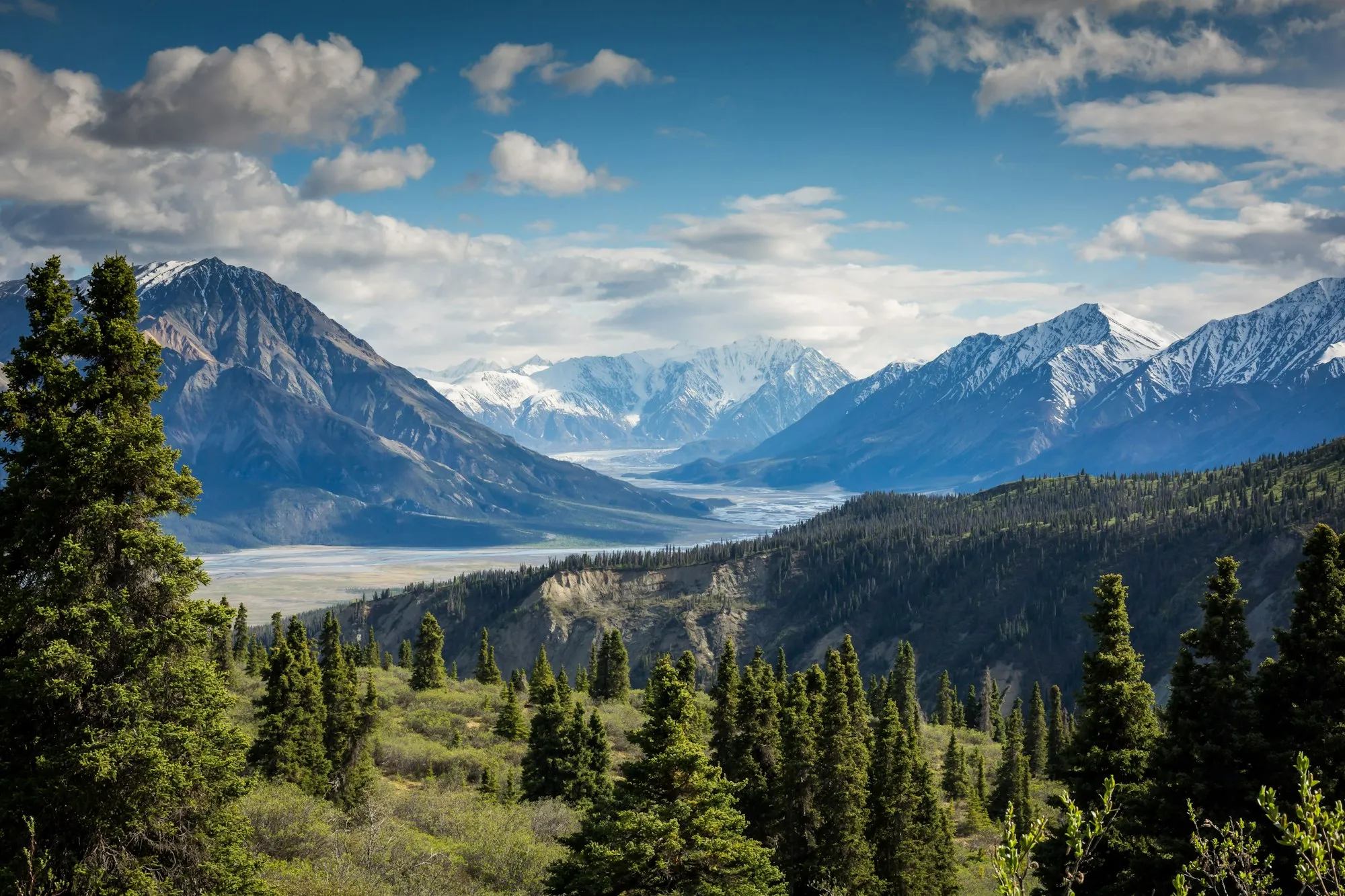 Forested valley with snow-capped mountains under a partly cloudy blue sky.