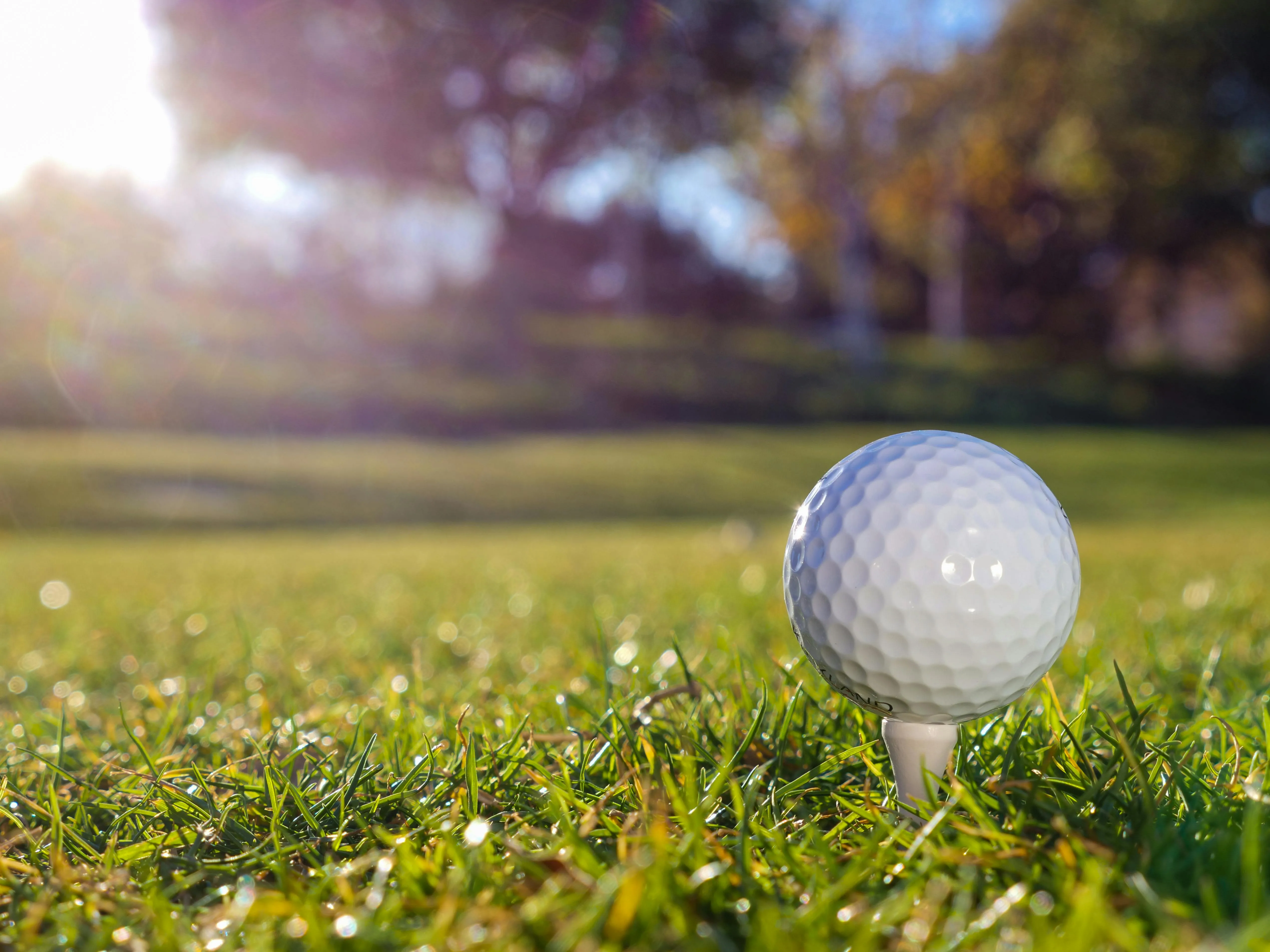 Close-up of a white golf ball on a tee on green grass with sun glare and trees blurred in background.