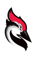 Woodpecker logo
