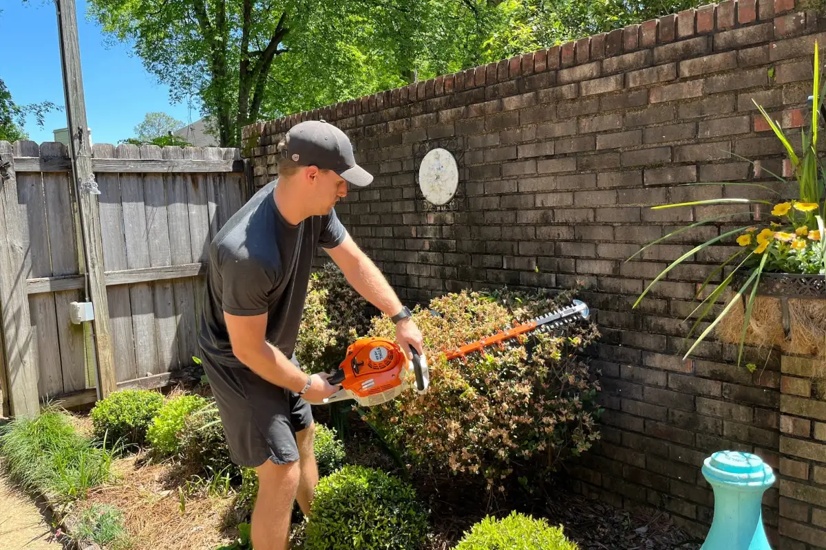 Man wearing a black shirt and cap trimming a large bush with an orange hedge trimmer in a sunny backyard garden.