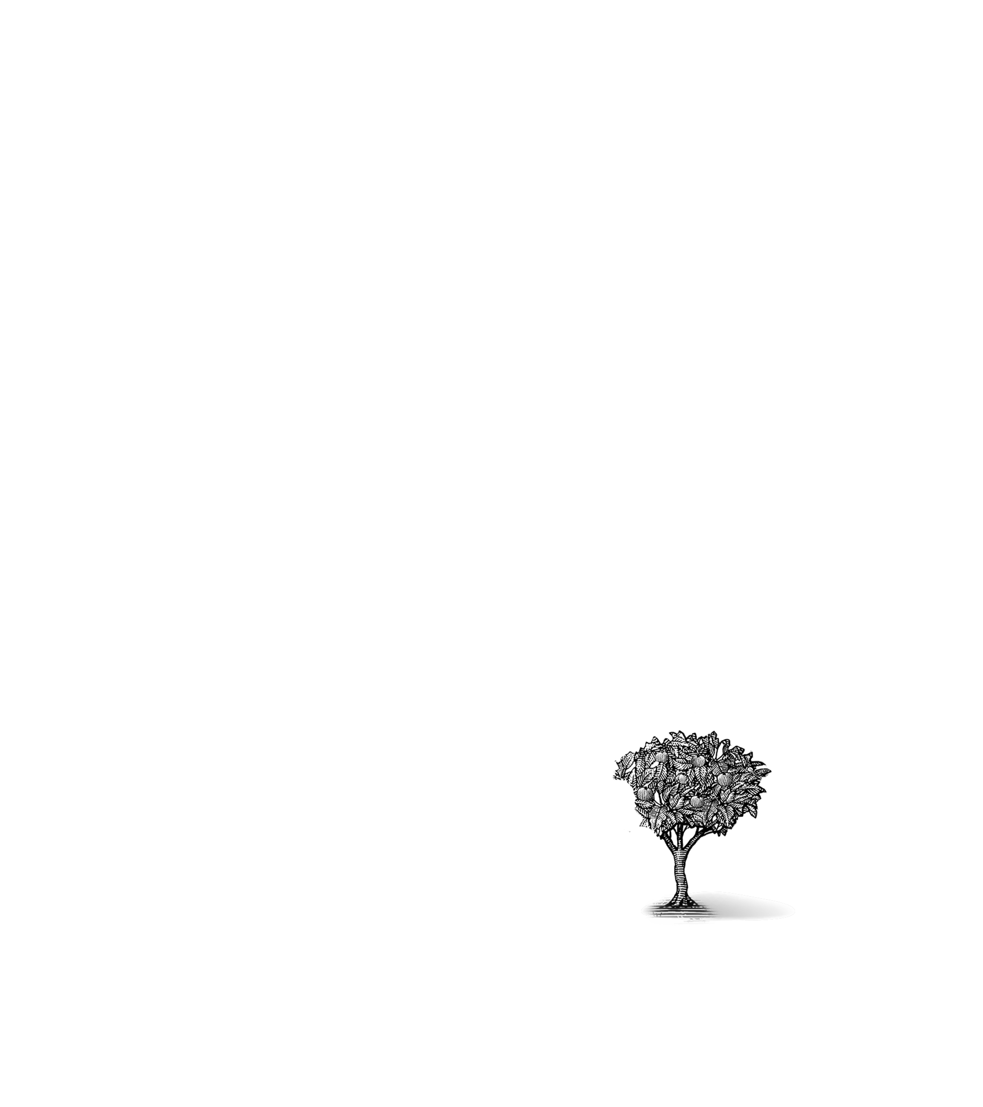 Black and white sketch of a small leafy tree with a textured trunk on a shaded base.