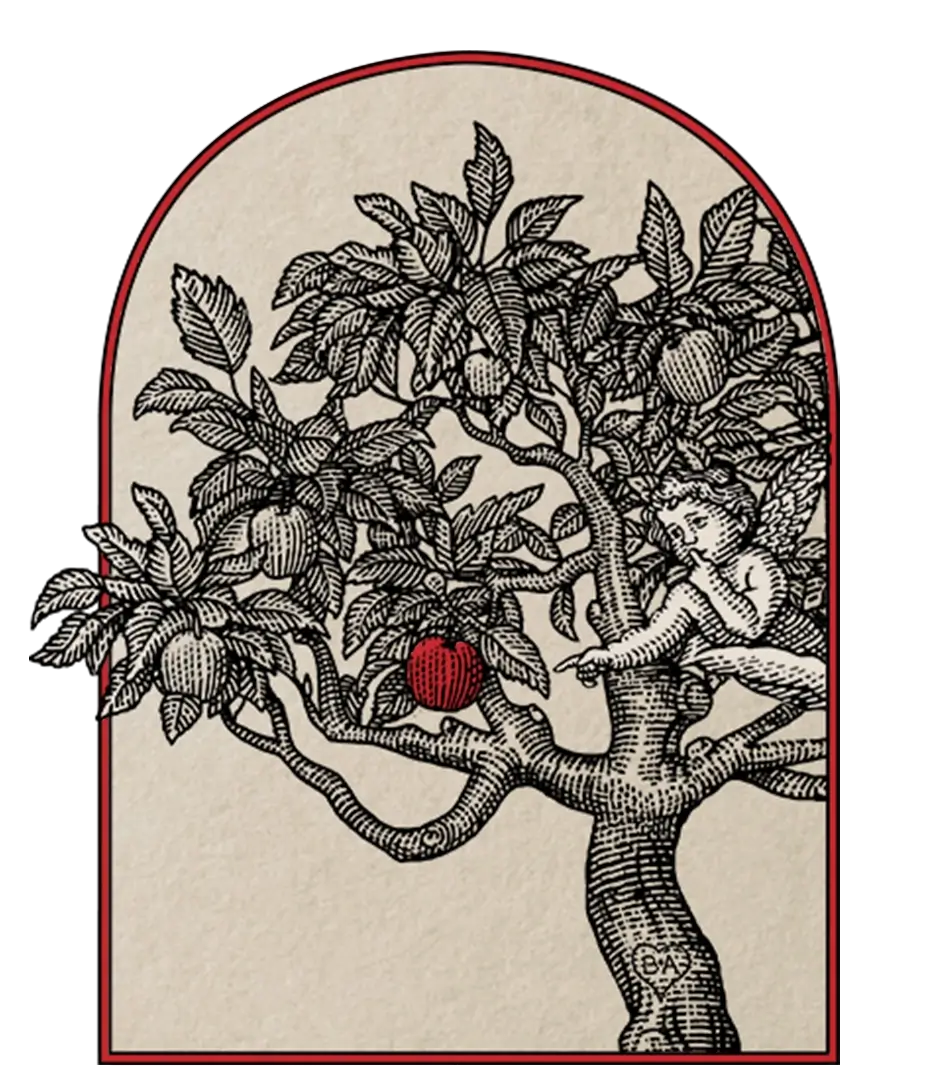 Black and white drawing of a tree with one red apple and a cherub pointing at it inside an arched frame.