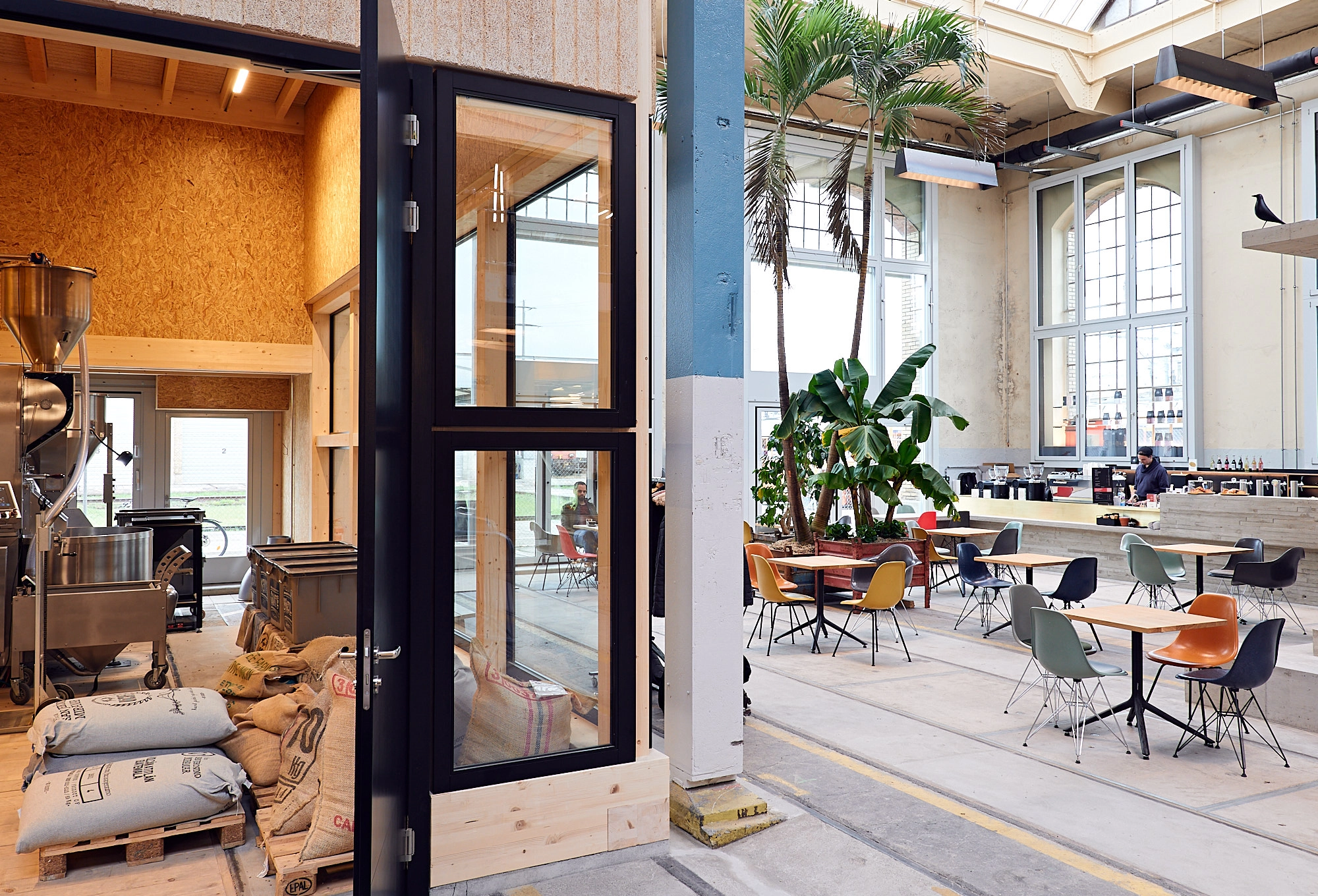 Innenansicht einer modernen Kaffeerösterei mit offenen Säcken voller Kaffeebohnen neben der Röstmaschine auf der linken Seite und einem Cafébereich mit bunten Stühlen und großen Pflanzen auf der rechten Seite.