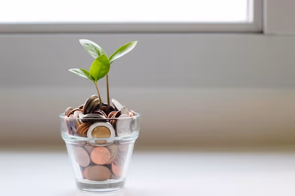 green plant in clear glass cup