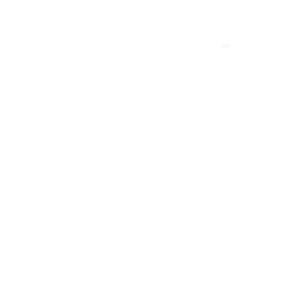 Weisses Symbol einer Flagge.