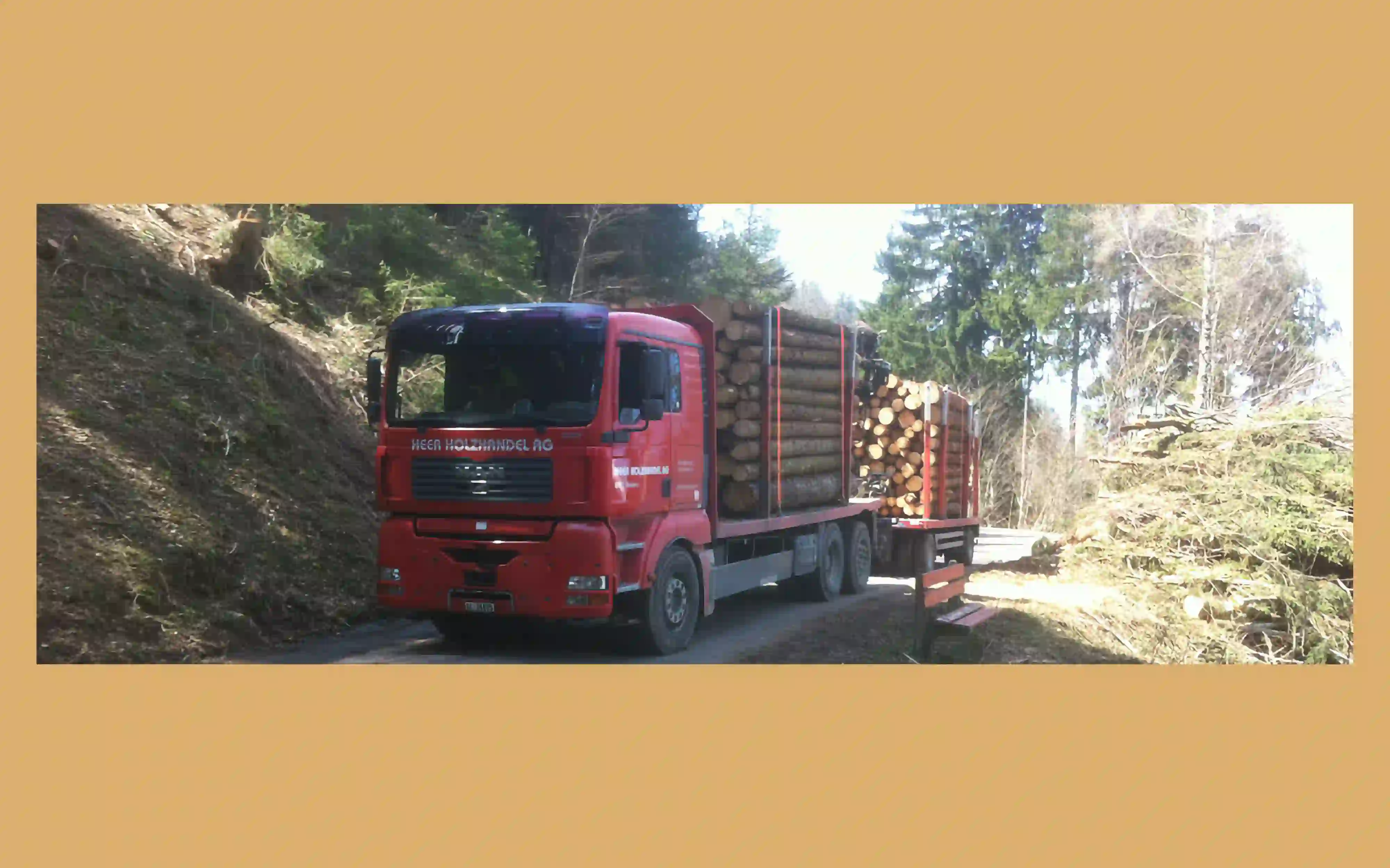 Bild von einem Lastwagen mit der Aufschrift Heer Holz AG, der Holz transportiert.