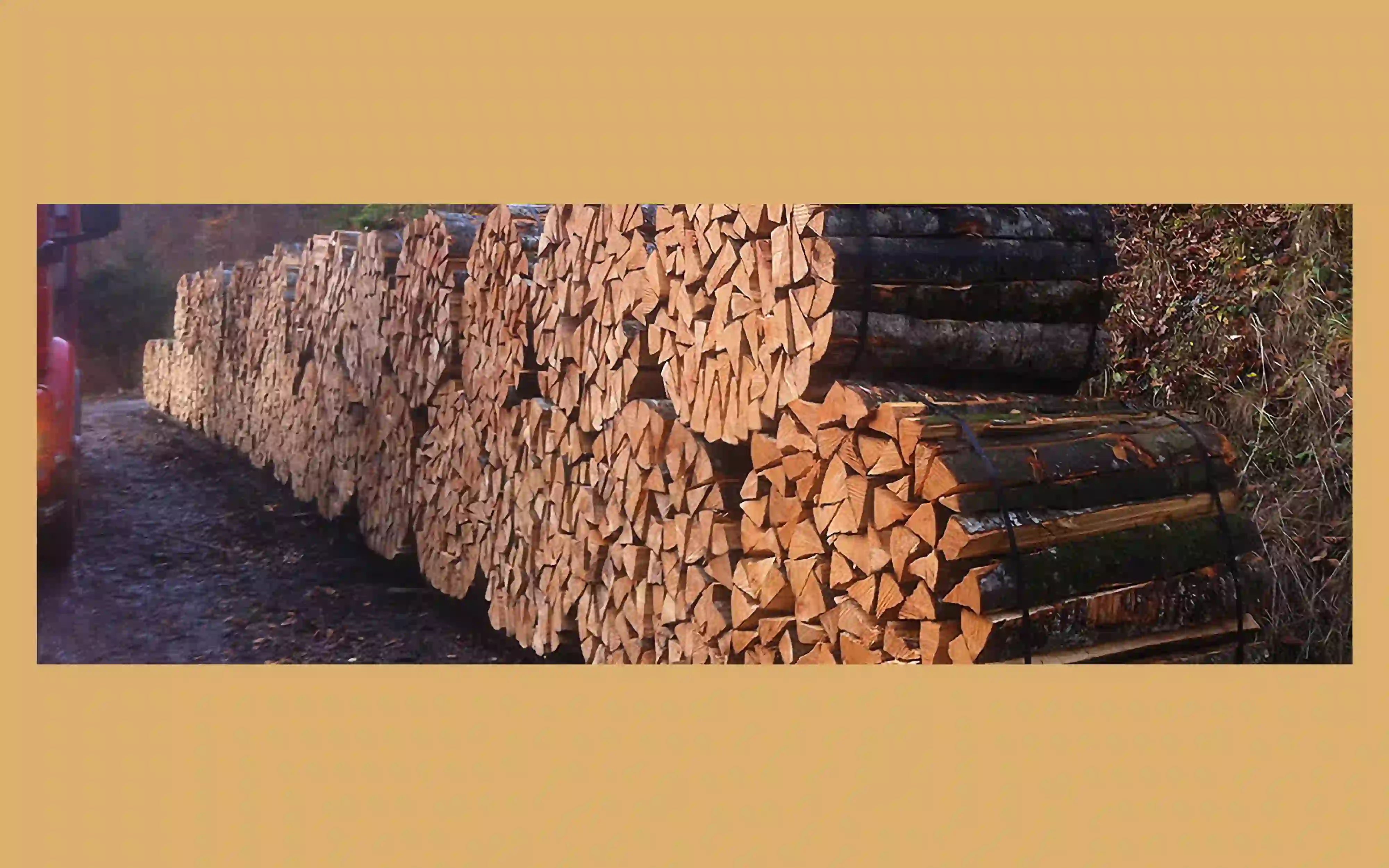 Bild von Holzstapeln der Heer Holz AG.