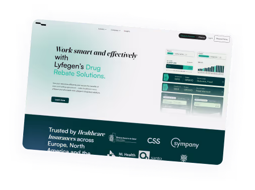 Custom website solution display.