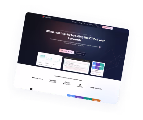 Custom website solution display.