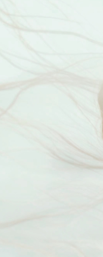 Mèches de cheveux fines et lumineuses dans une atmosphère douce et minimaliste, tons beige et lumière naturelle.