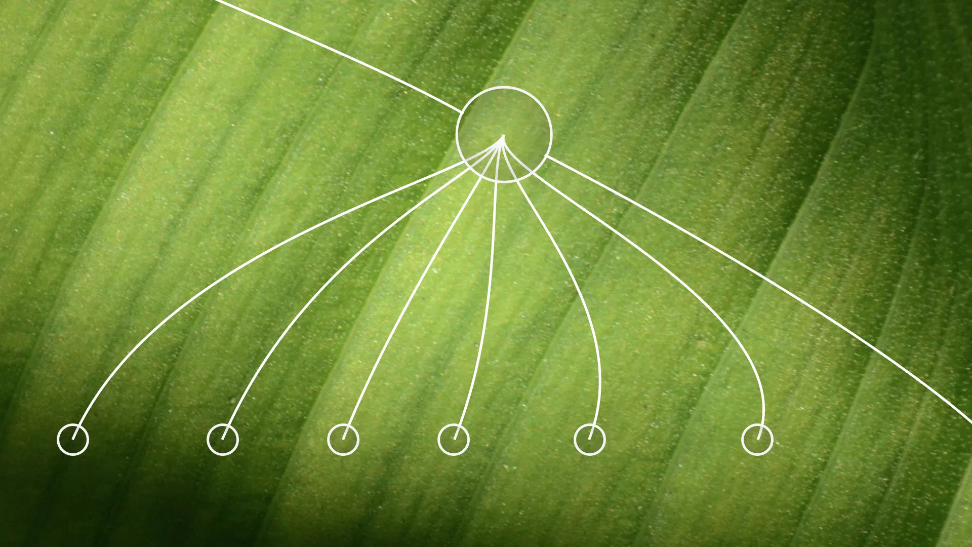 Good AI agents need good managers