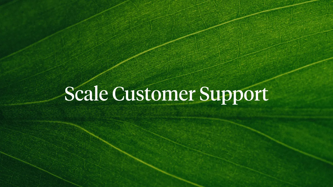 How to Scale Customer Support Without Hiring More Agents