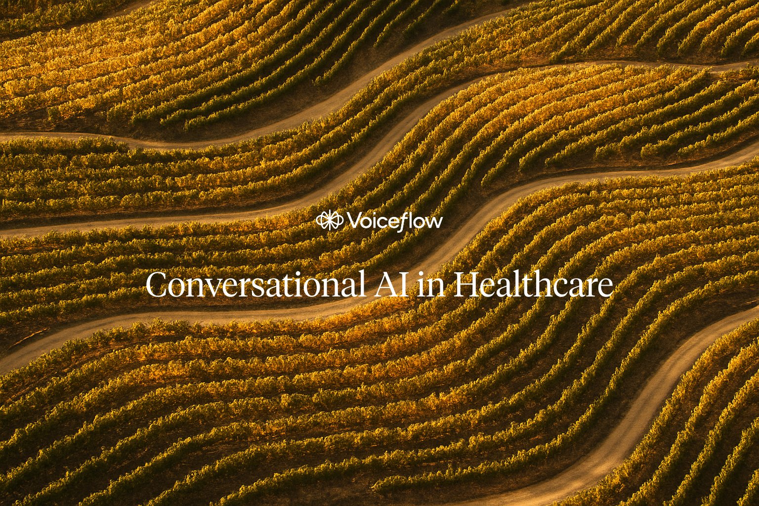 Aerial view of geometric vineyard rows with 'Conversational AI in Healthcare' centered — a brand-aligned hero representing the article's structural taxonomy of healthcare AI use cases.