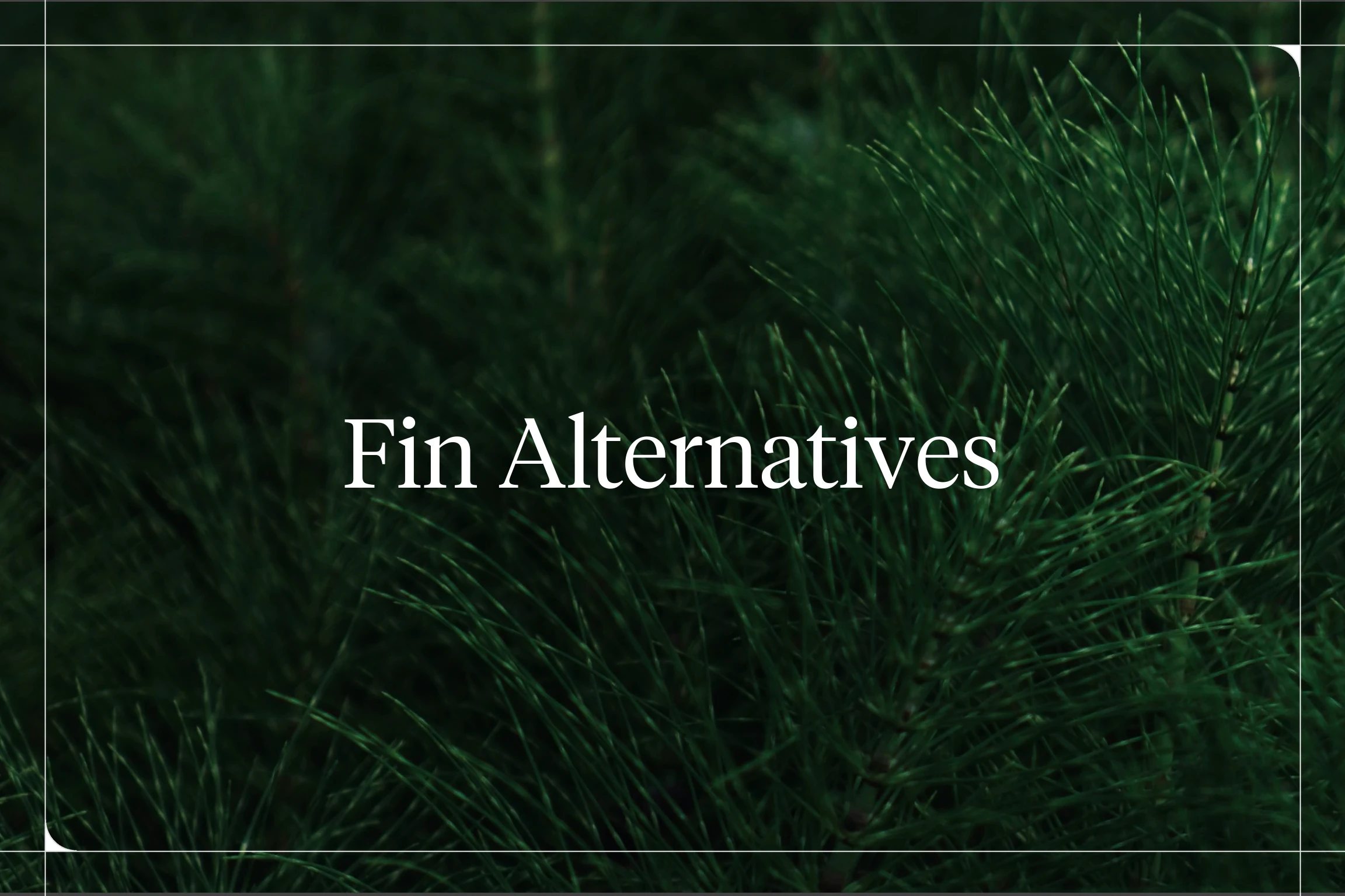 The Best Fin Alternatives for Enterprise Customer Support in 2026