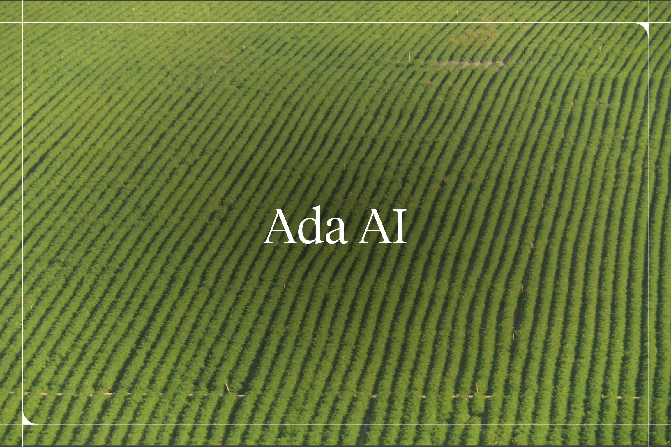 Ada AI Review 2026: Pricing, Automated Resolutions, and the Best Alternatives
