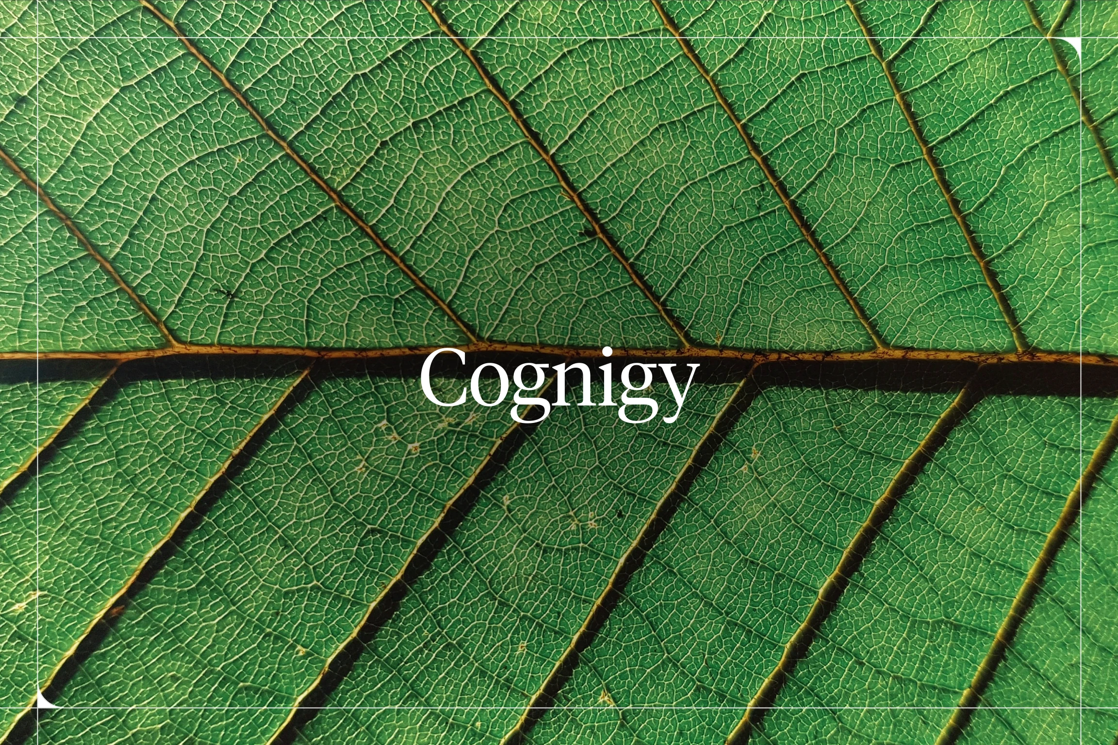 Cognigy — Voiceflow blog hero