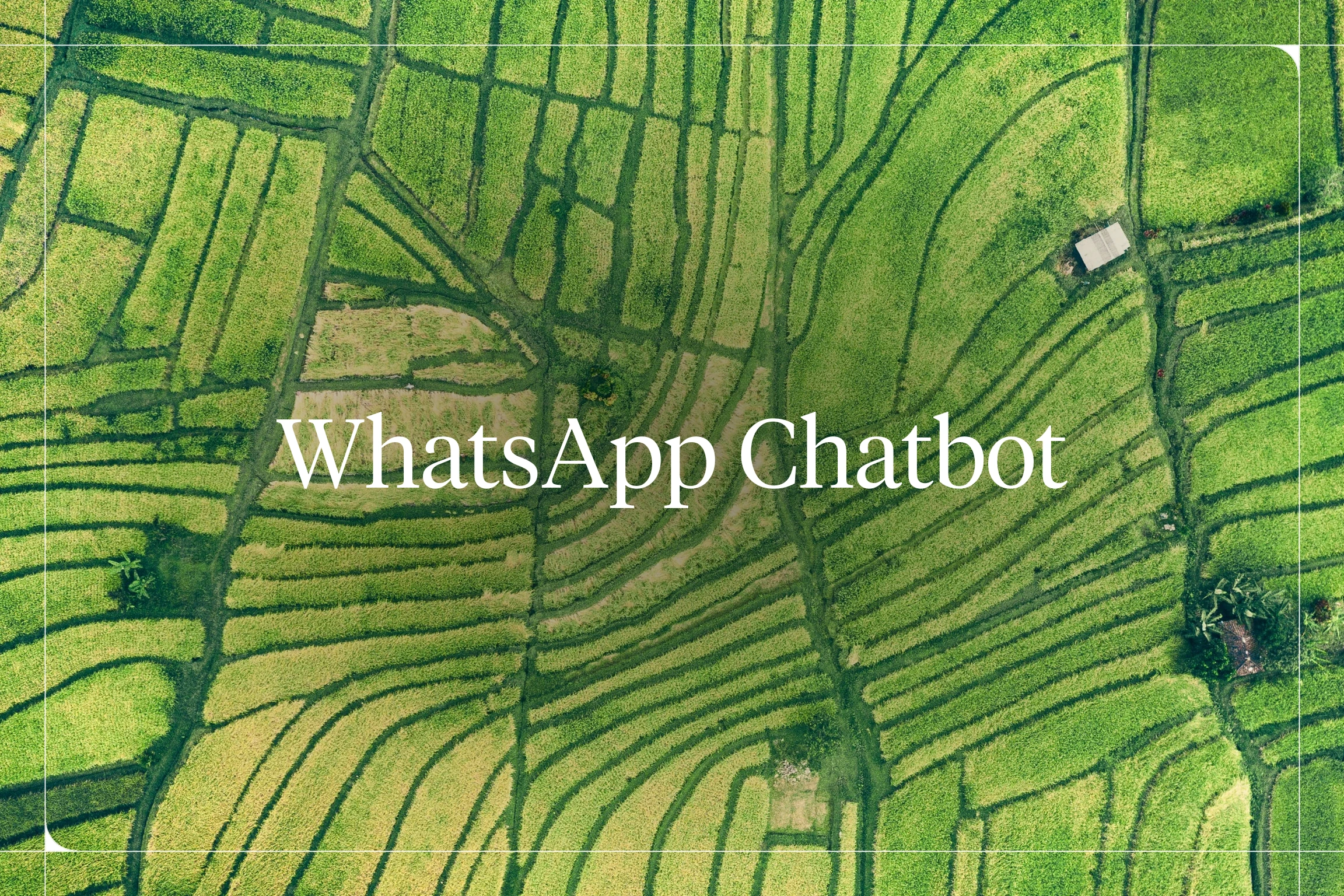 WhatsApp Chatbot — Voiceflow blog hero