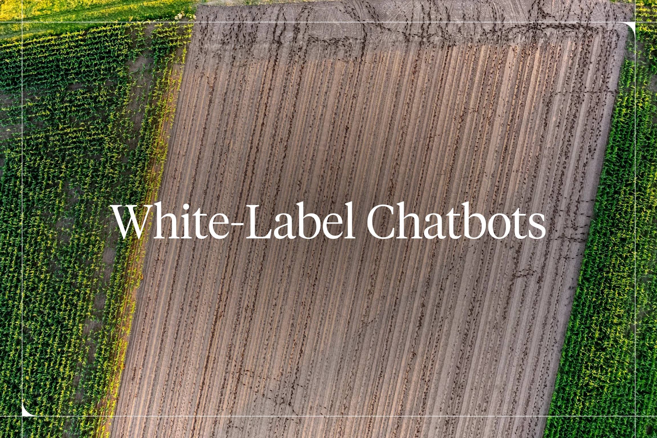 White-Label Chatbots — Voiceflow blog hero