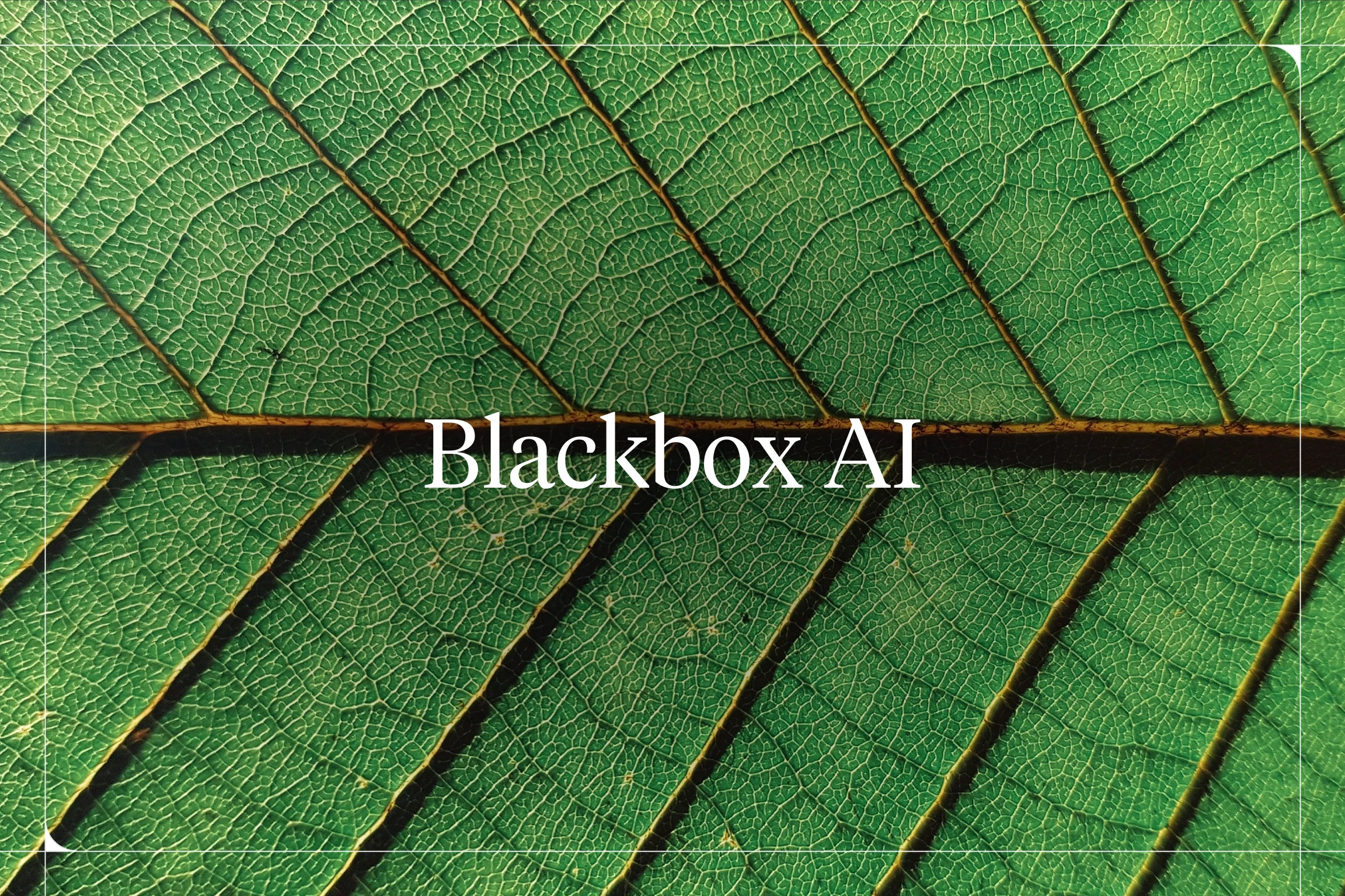 Blackbox AI — Voiceflow blog hero