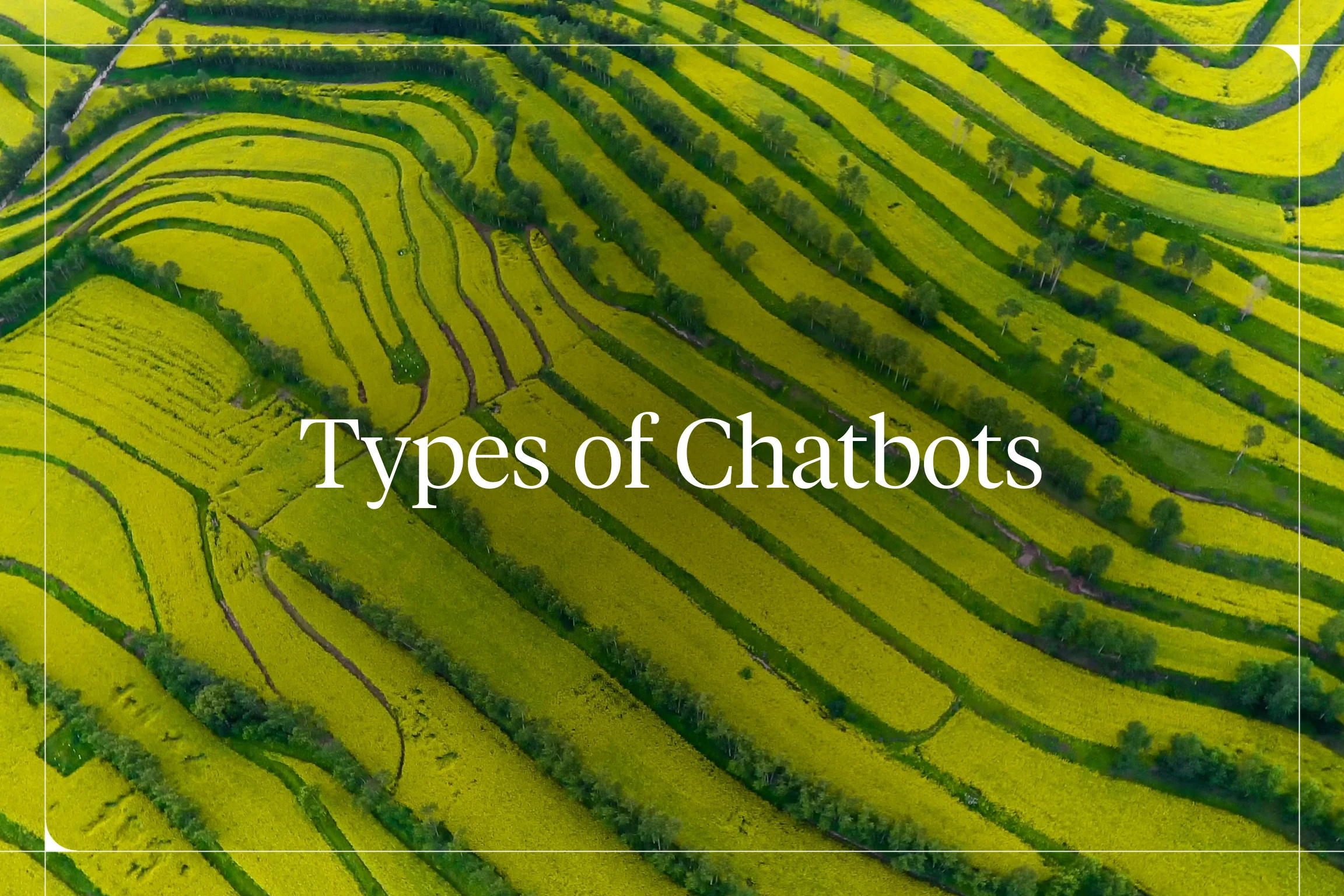 Types of Chatbots — Voiceflow blog hero