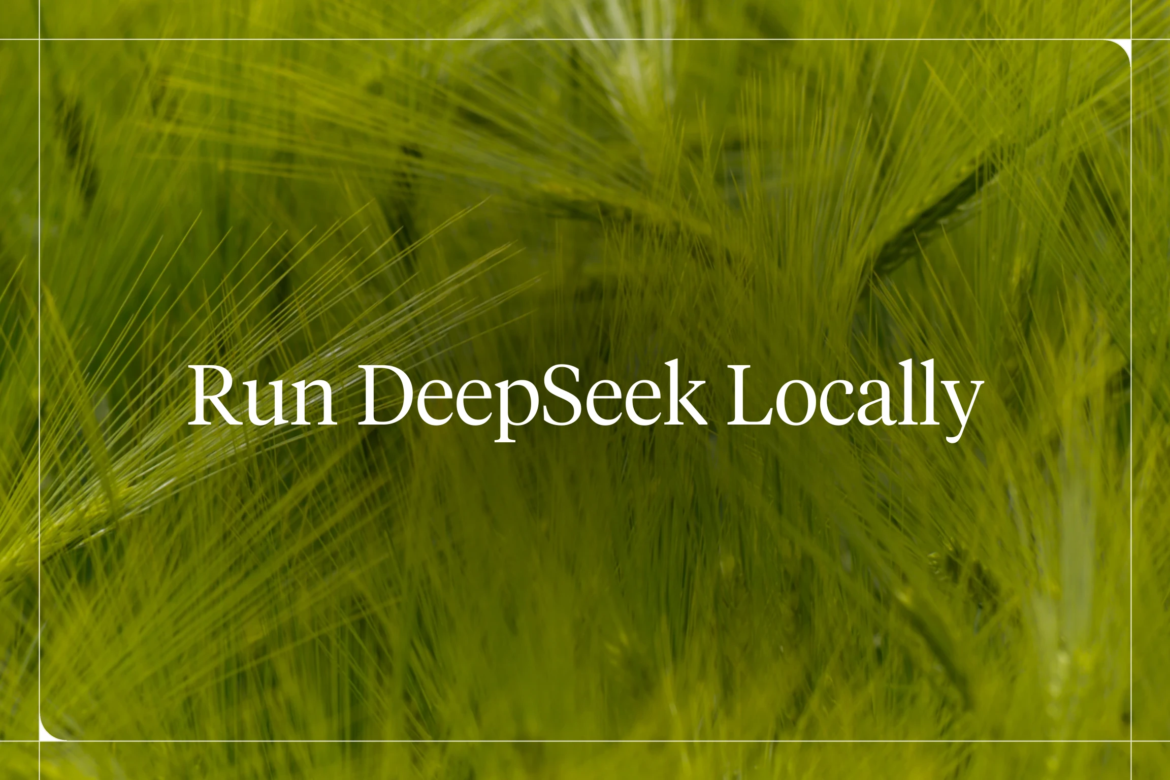 Run DeepSeek Locally — Voiceflow blog hero