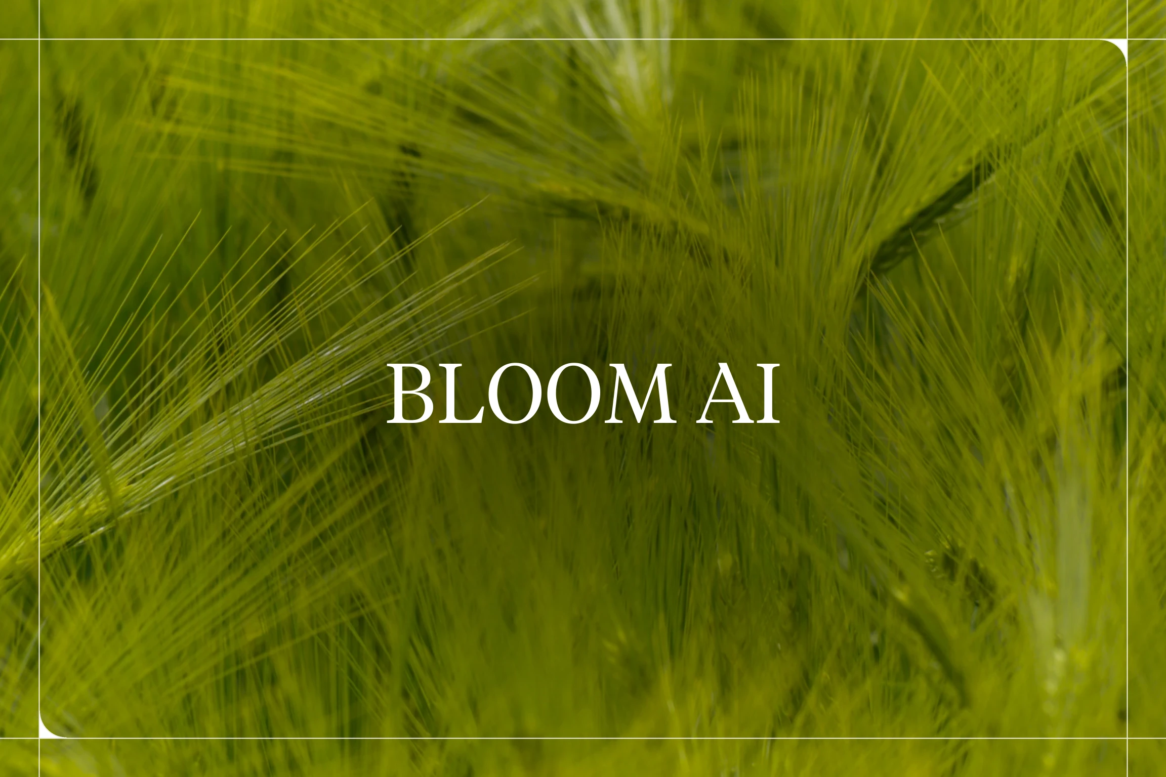 What’s BLOOM and Why Is It Democratizing AI?