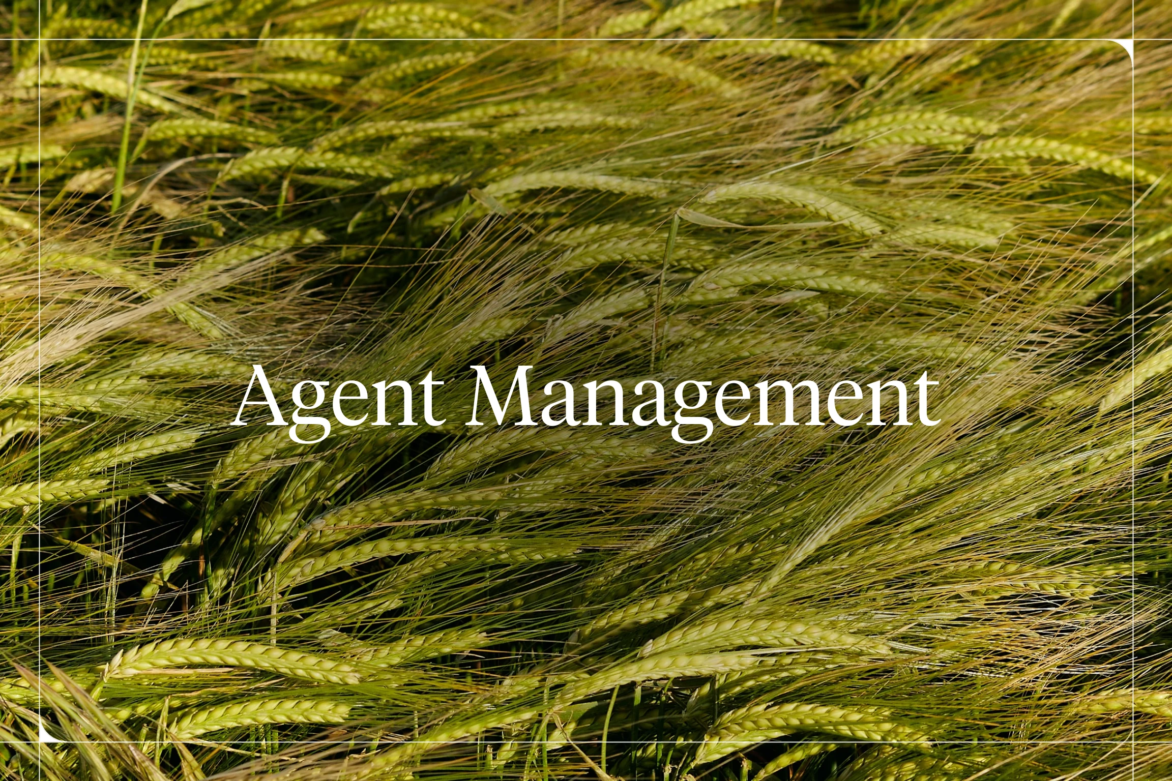 Best AI Agent Management Platforms in 2026 [Ranked and Compared]