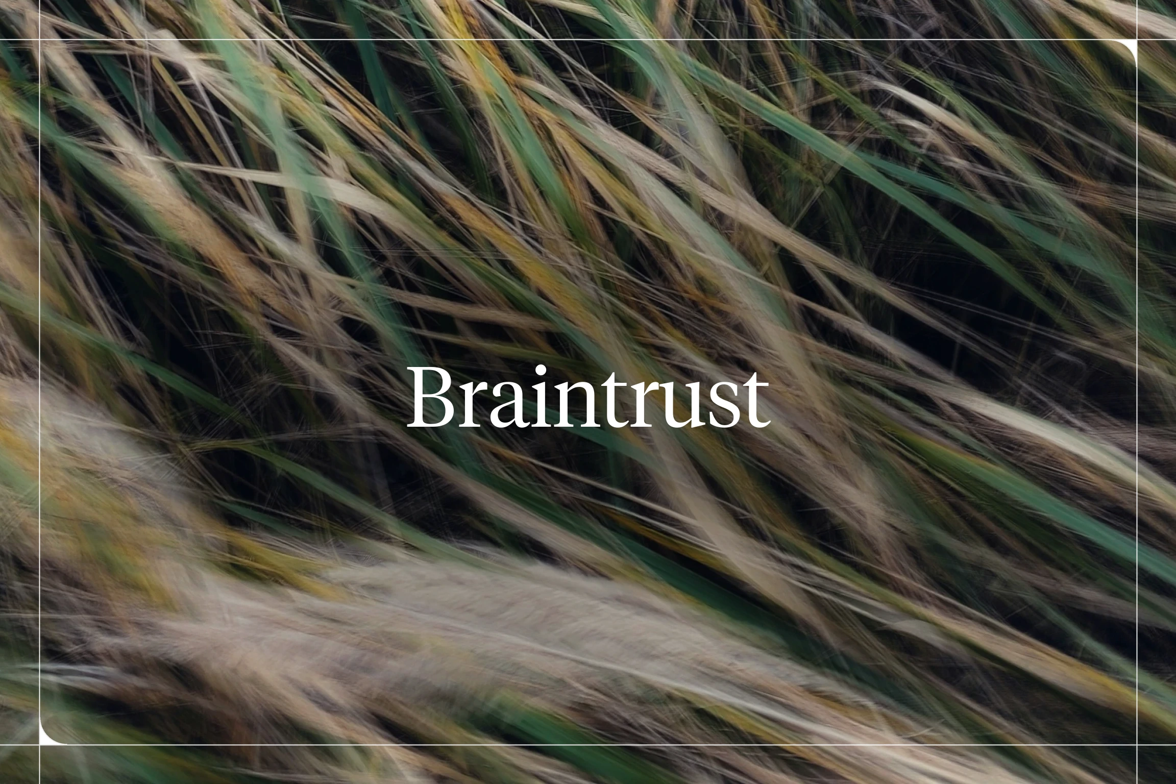 What Is Braintrust AI? Pricing, Limits, and Alternatives