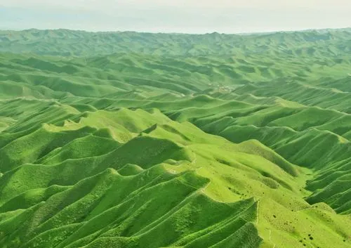 Expansive landscape of rolling green hills under a pale sky.