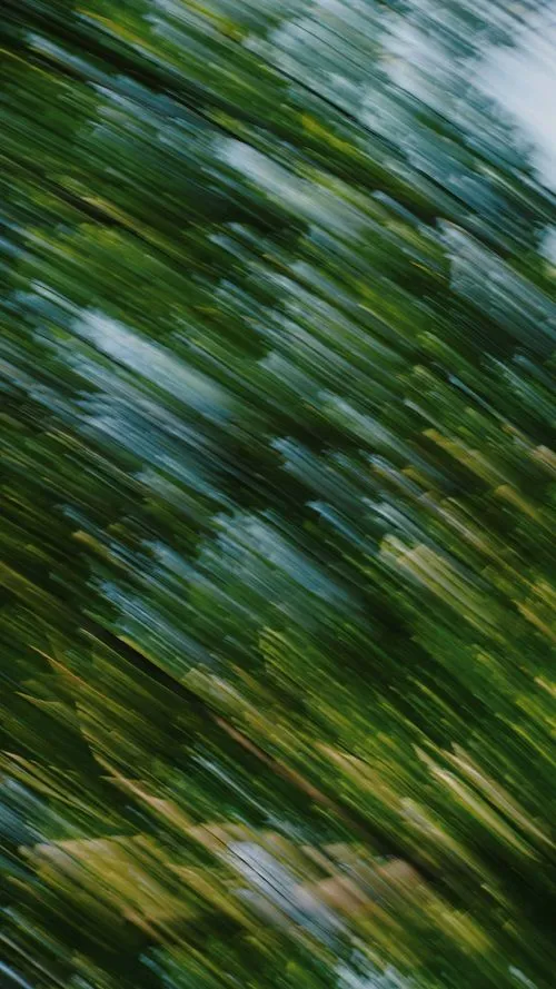 Blurred green foliage and blue sky captured with motion blur effect.