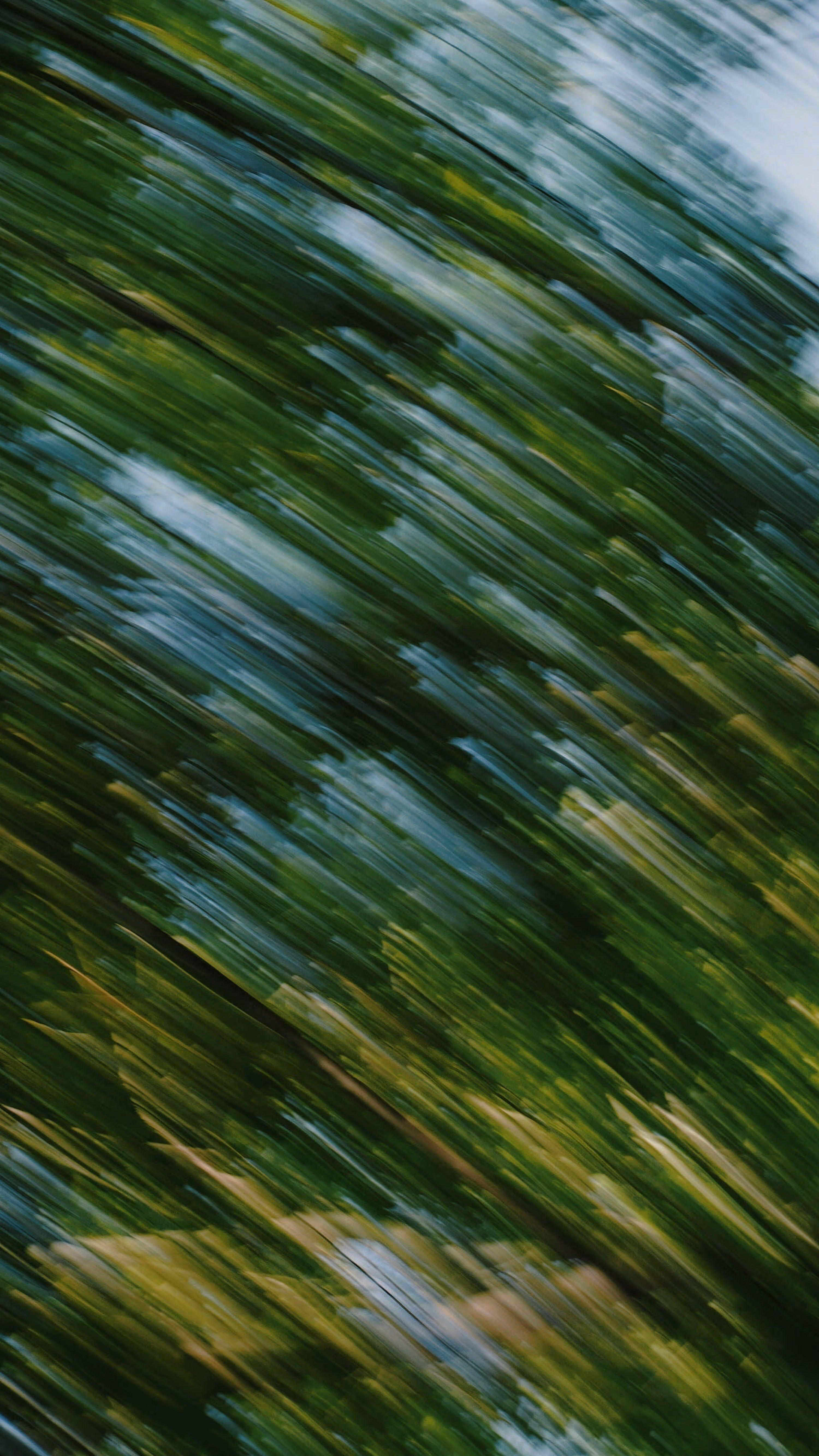 Blurred green foliage and blue sky captured with motion blur effect.