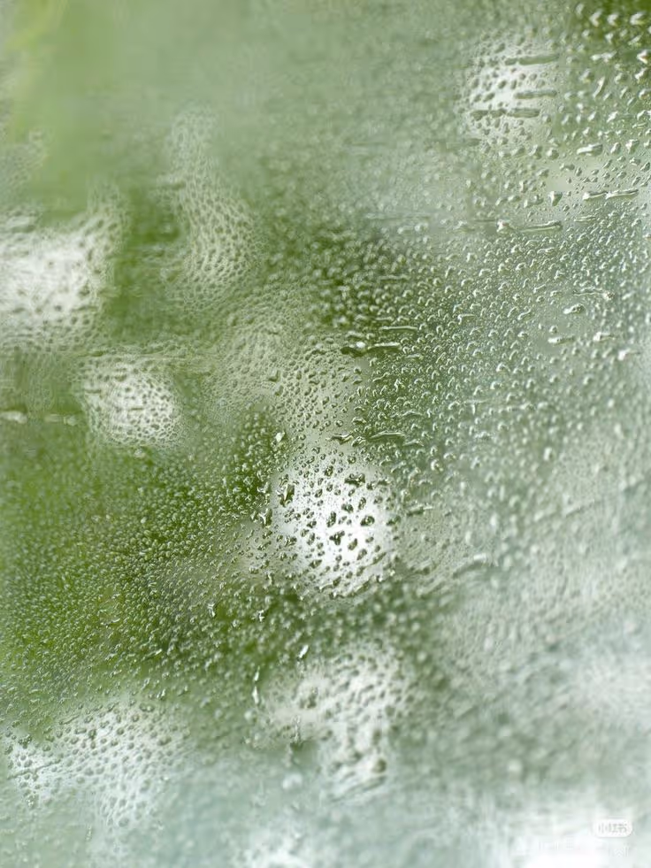 Close-up view of condensation droplets on a glass surface with a blurred green background.