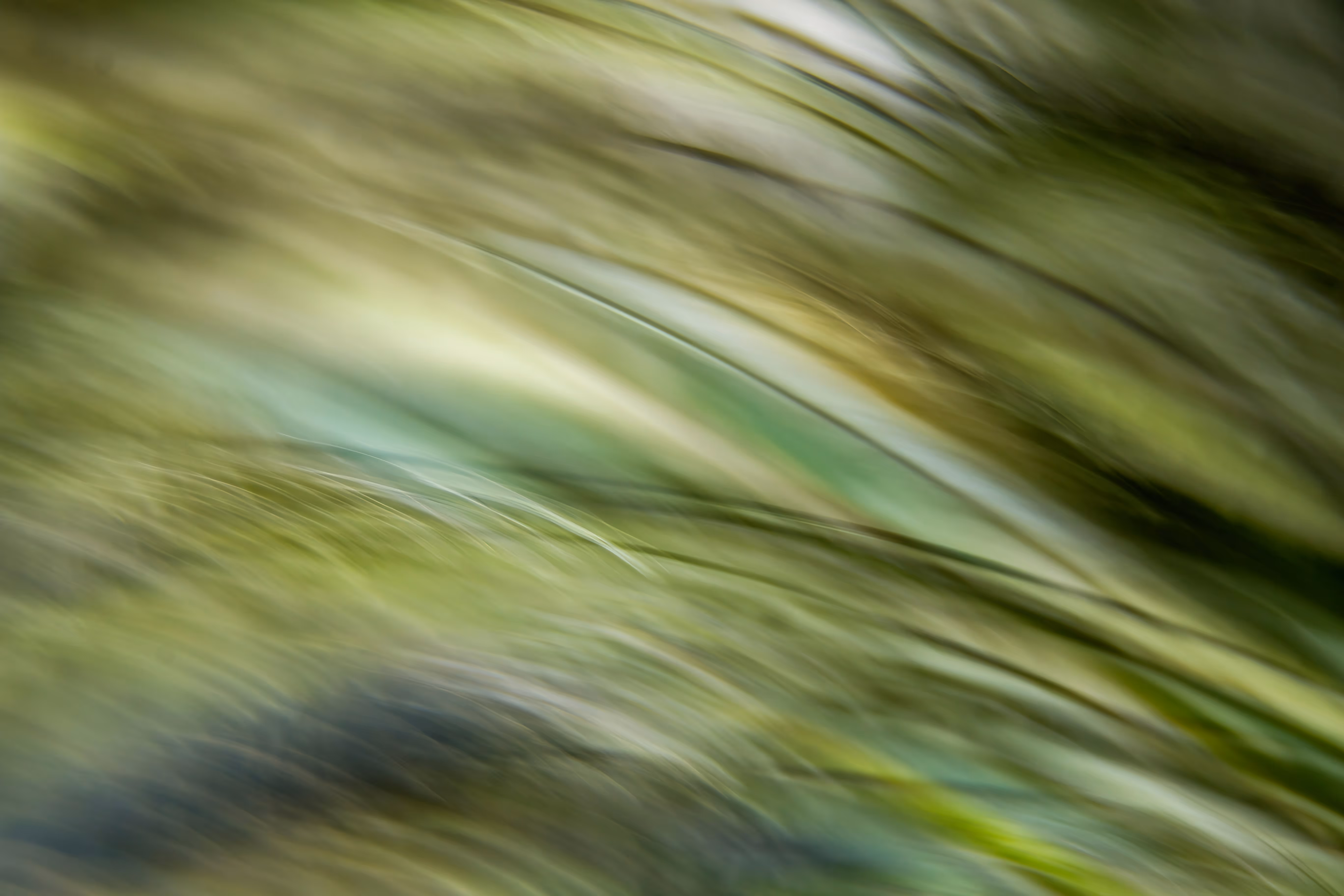 Abstract blurred image with flowing green, yellow, and brown hues resembling grass or foliage.