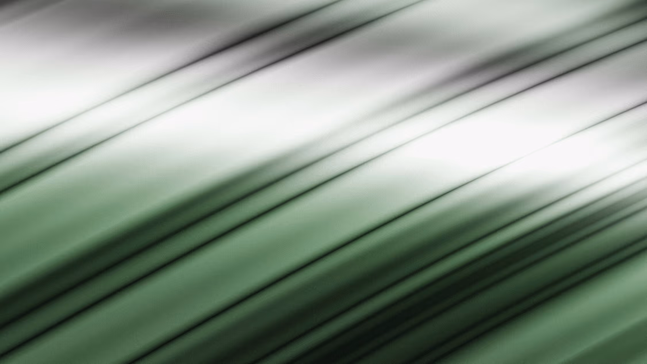 Close-up of green palm leaf with diagonal lines and soft lighting.