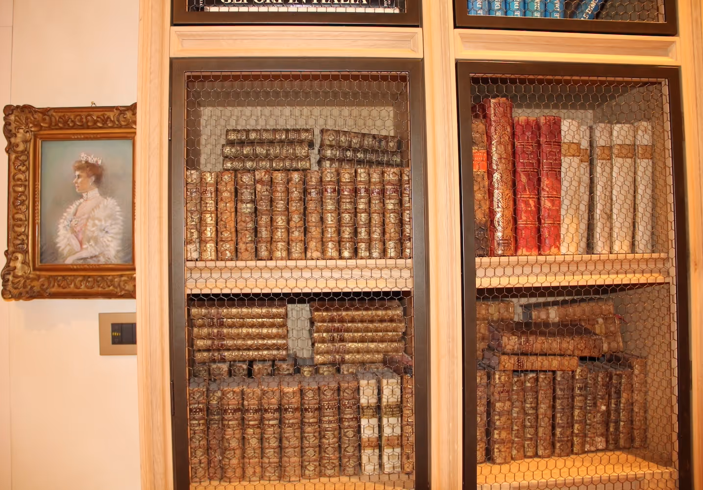 Antique wooden bookshelf with old leather-bound books behind wire mesh panels.