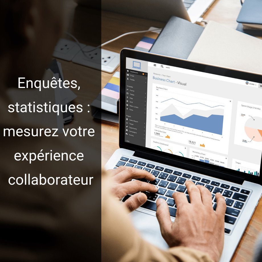 travail-statistiques-ordinateur