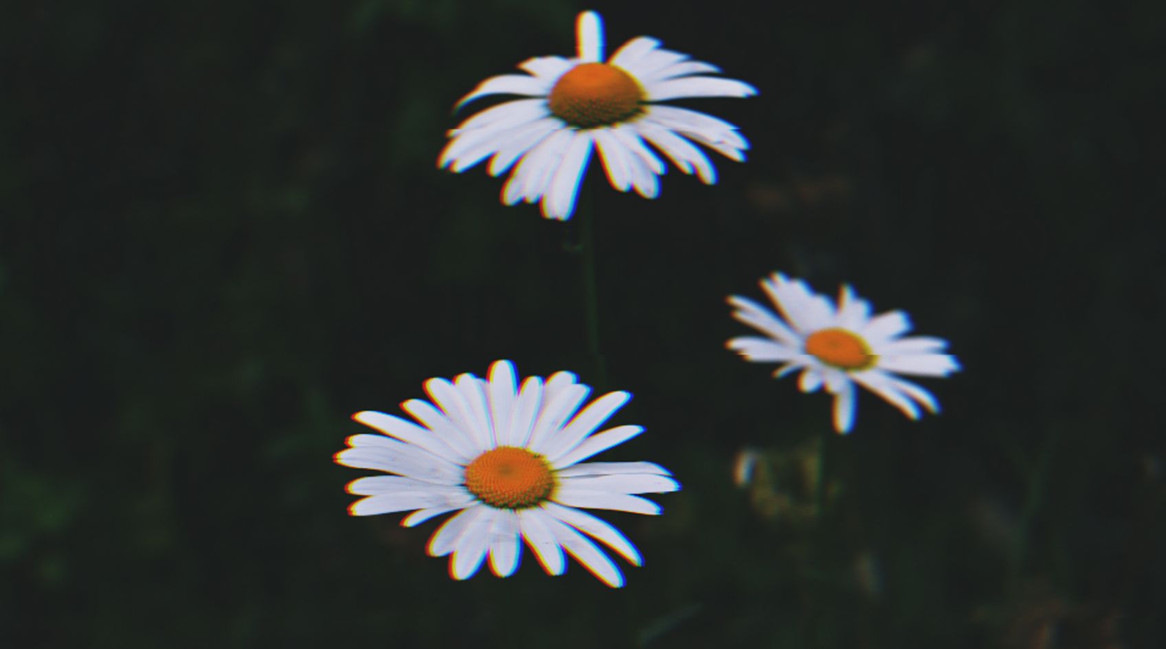 Les 3 indispensables du recruteur en 2023