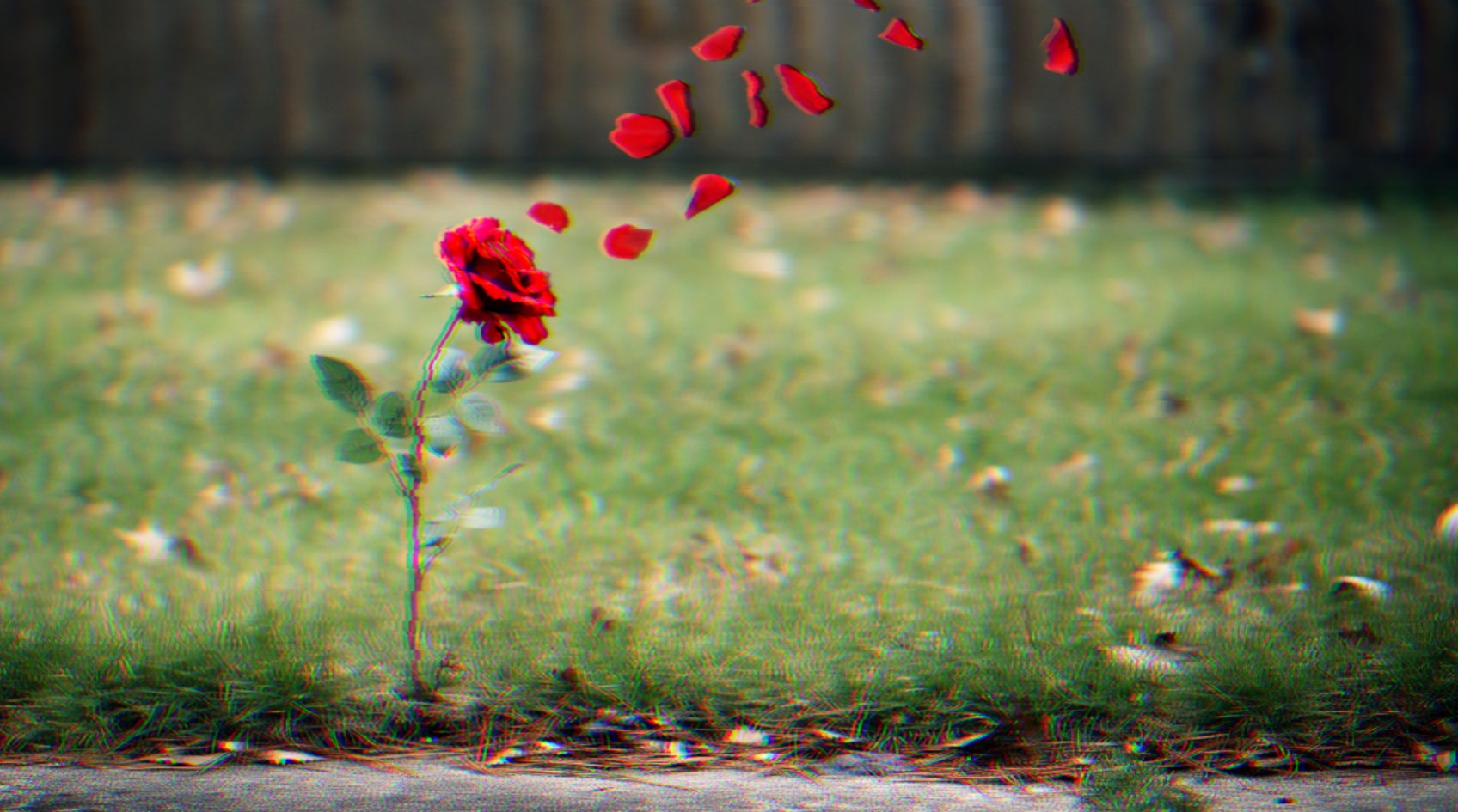 Recruter sur les réseaux sociaux (hors LinkedIn)