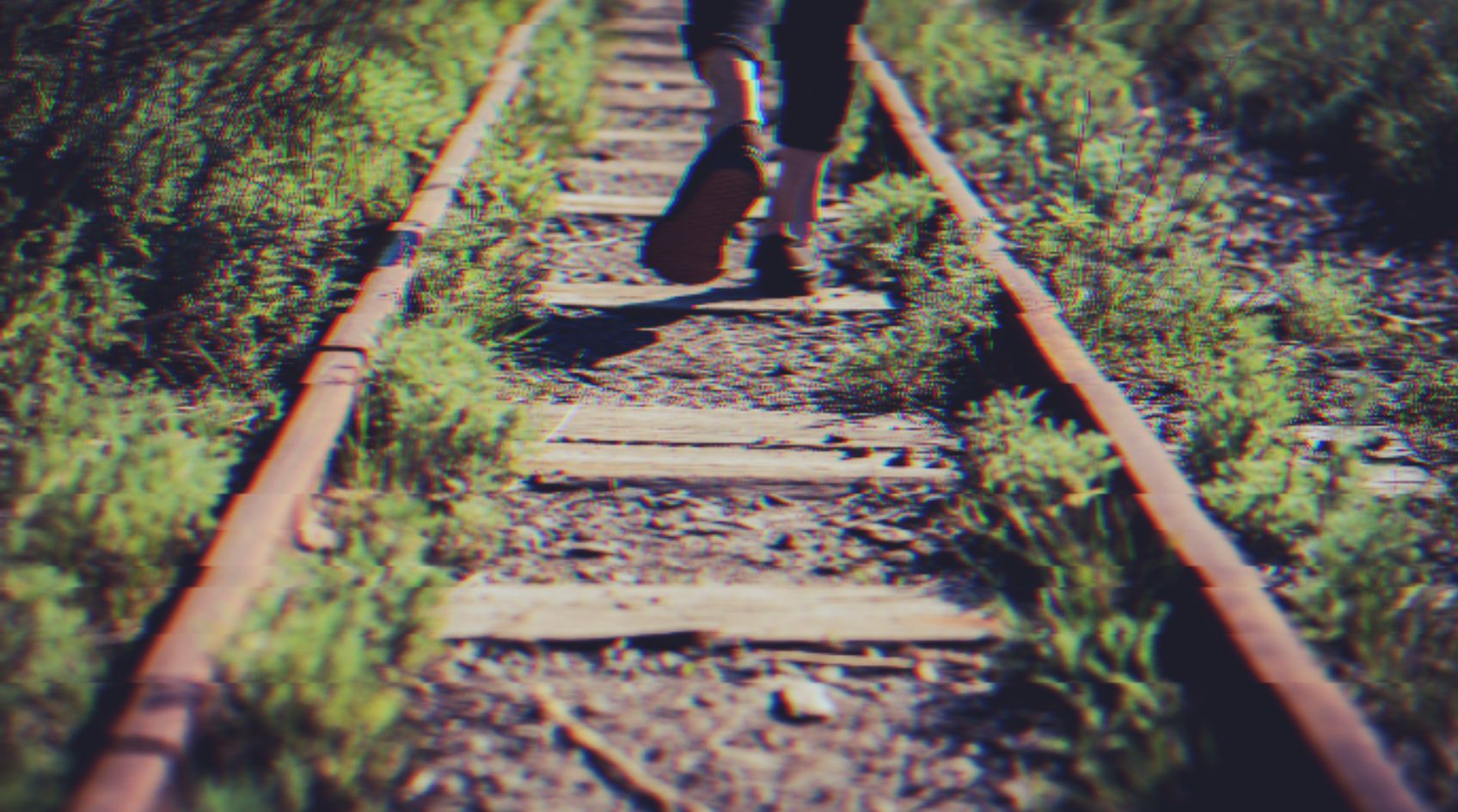 Culture d'entreprise : définition, exemples et fausses idées