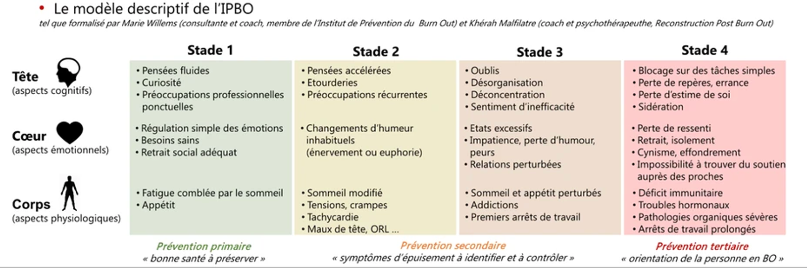 Le modèle descriptif de l'IPBO