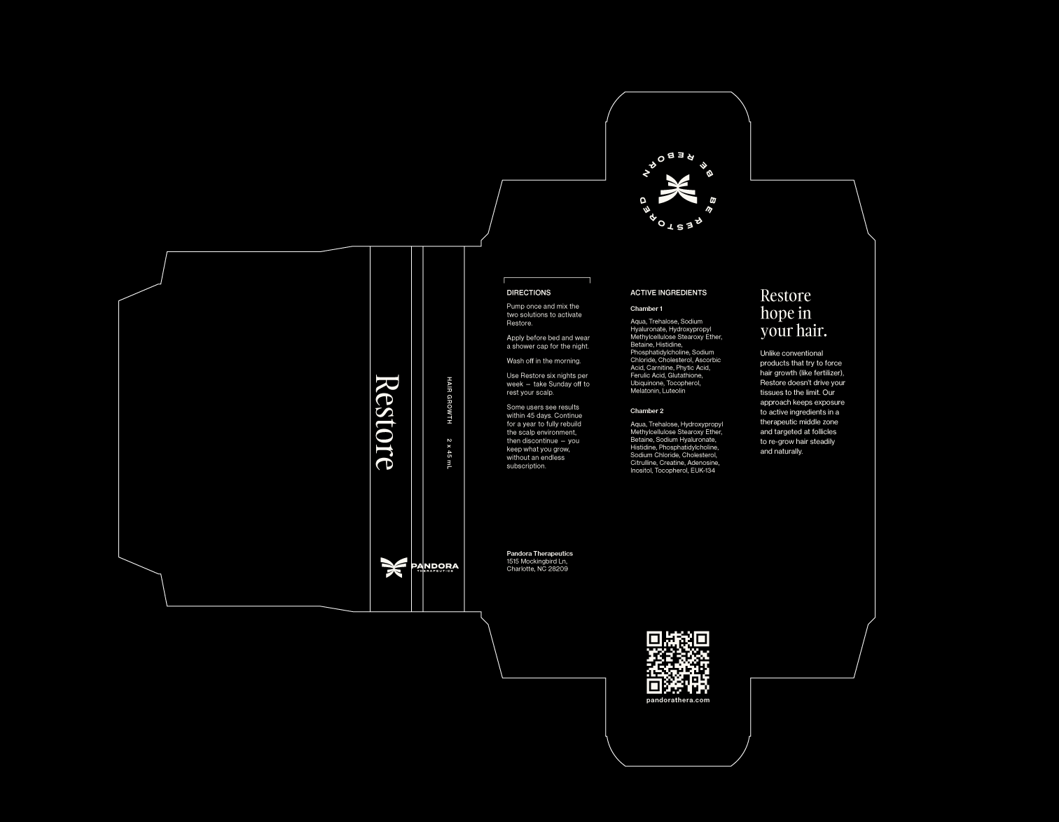 A schematic of the Pandora packaging box