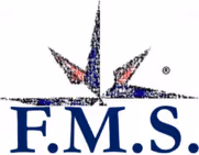 FMS Consulting