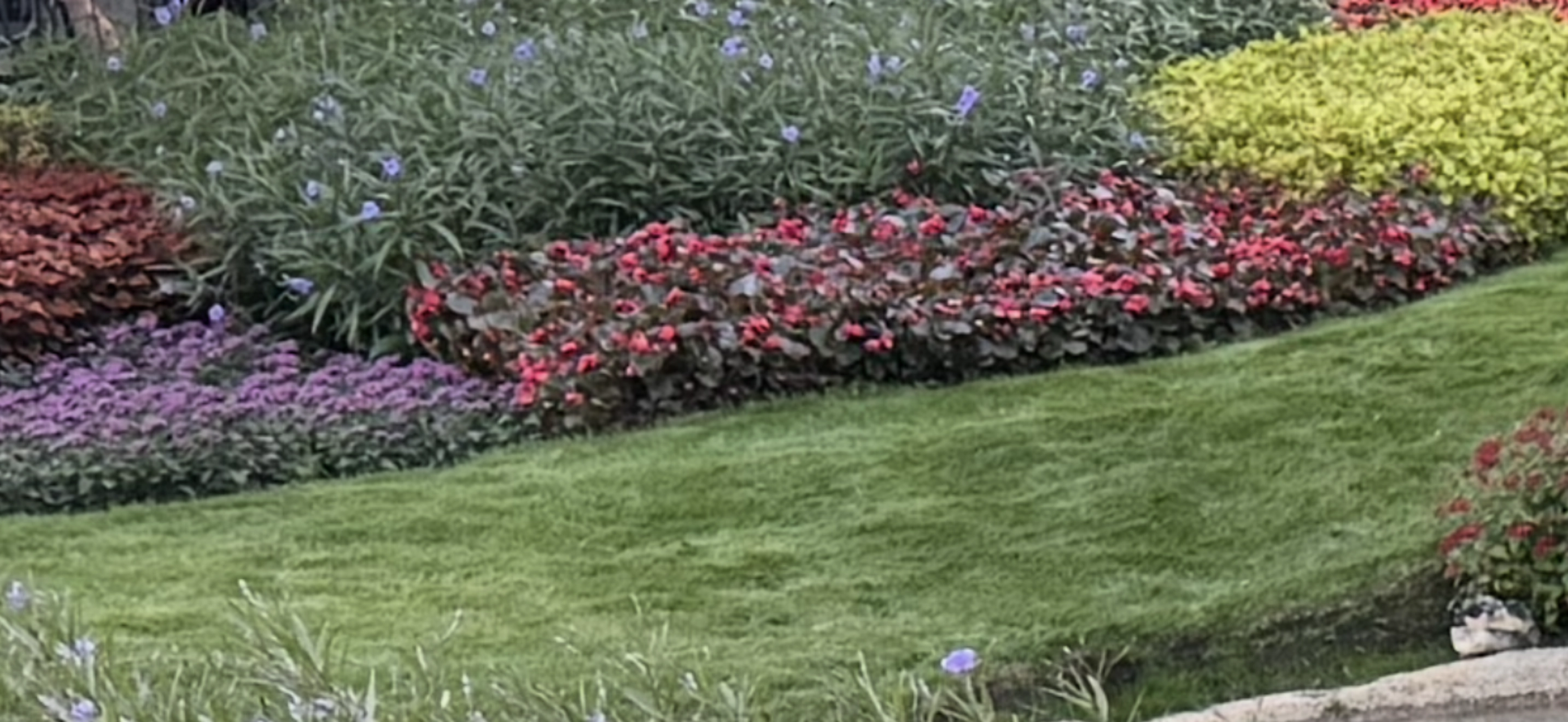 Weed eating and trimming