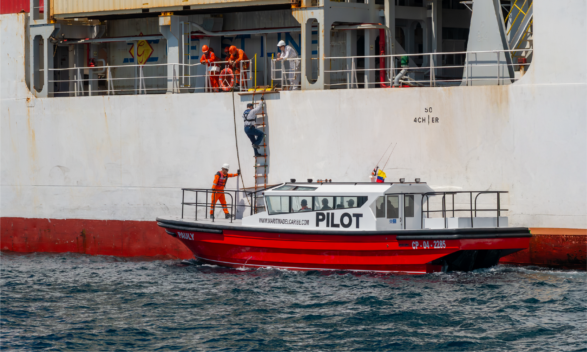 image of auto memorabilia showcase