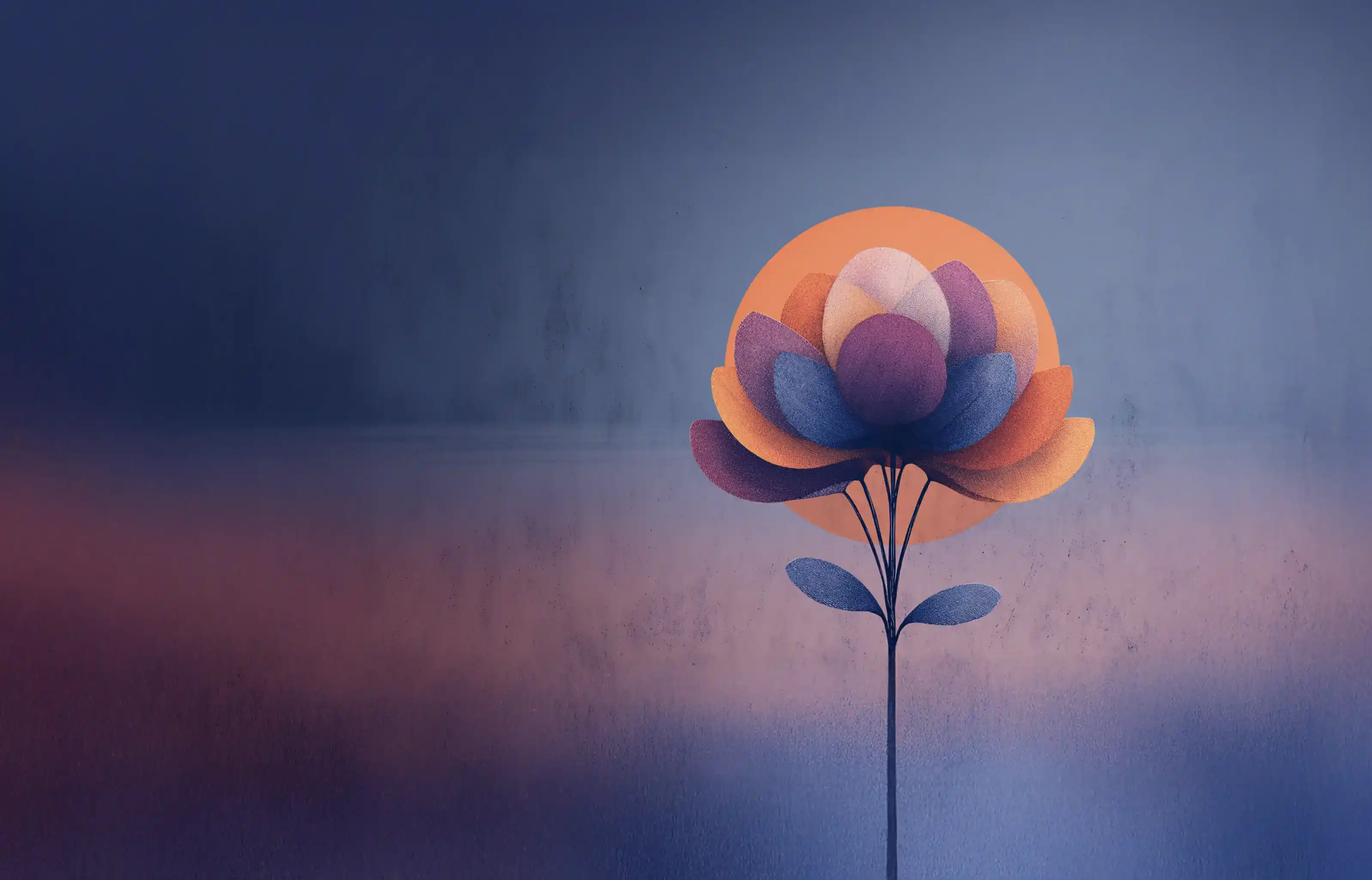 Design graphique iconique et coloré par Fabulotte Studio créatif.