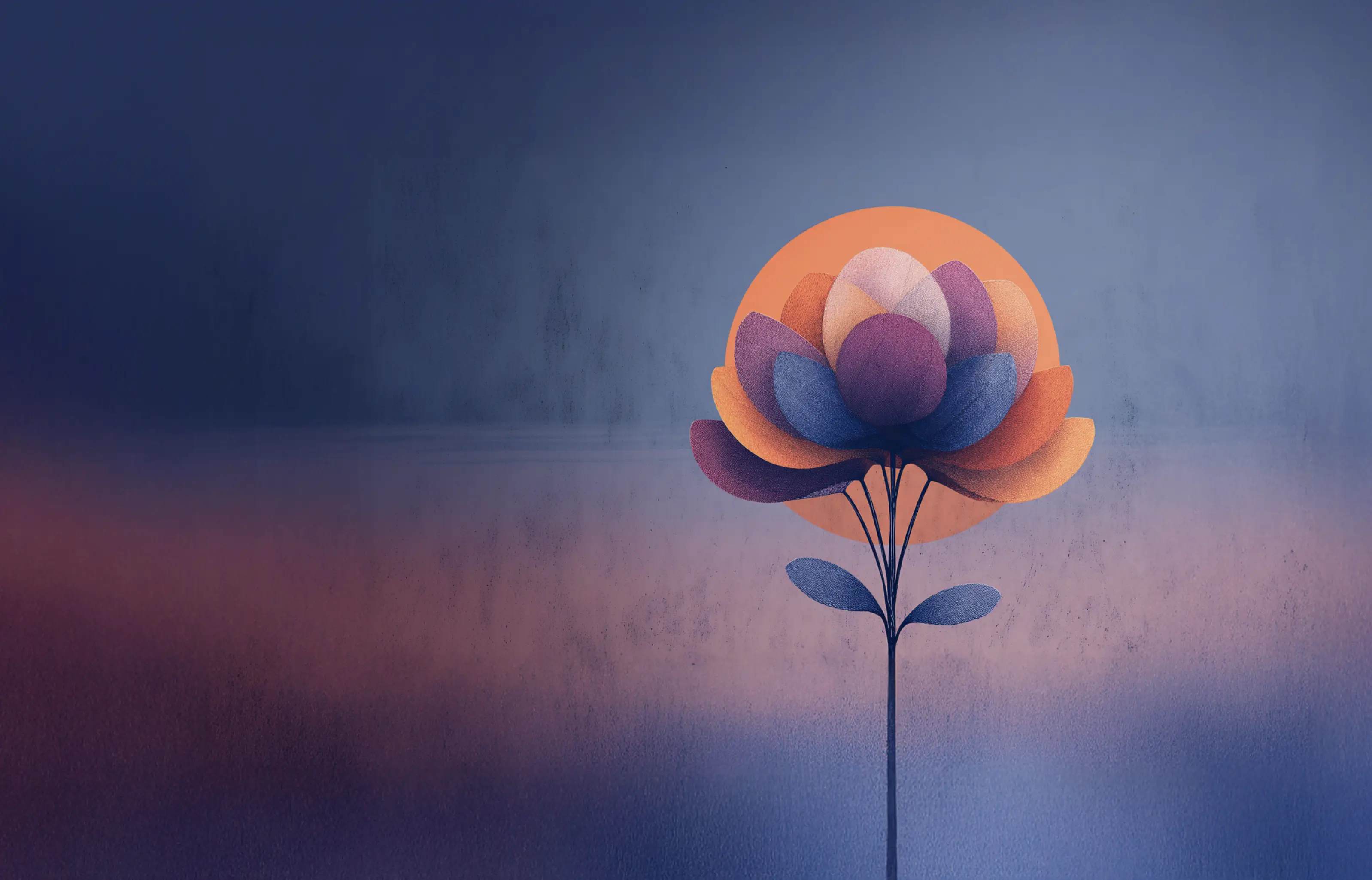 Design graphique iconique et coloré par Ulotte Studio créatif.