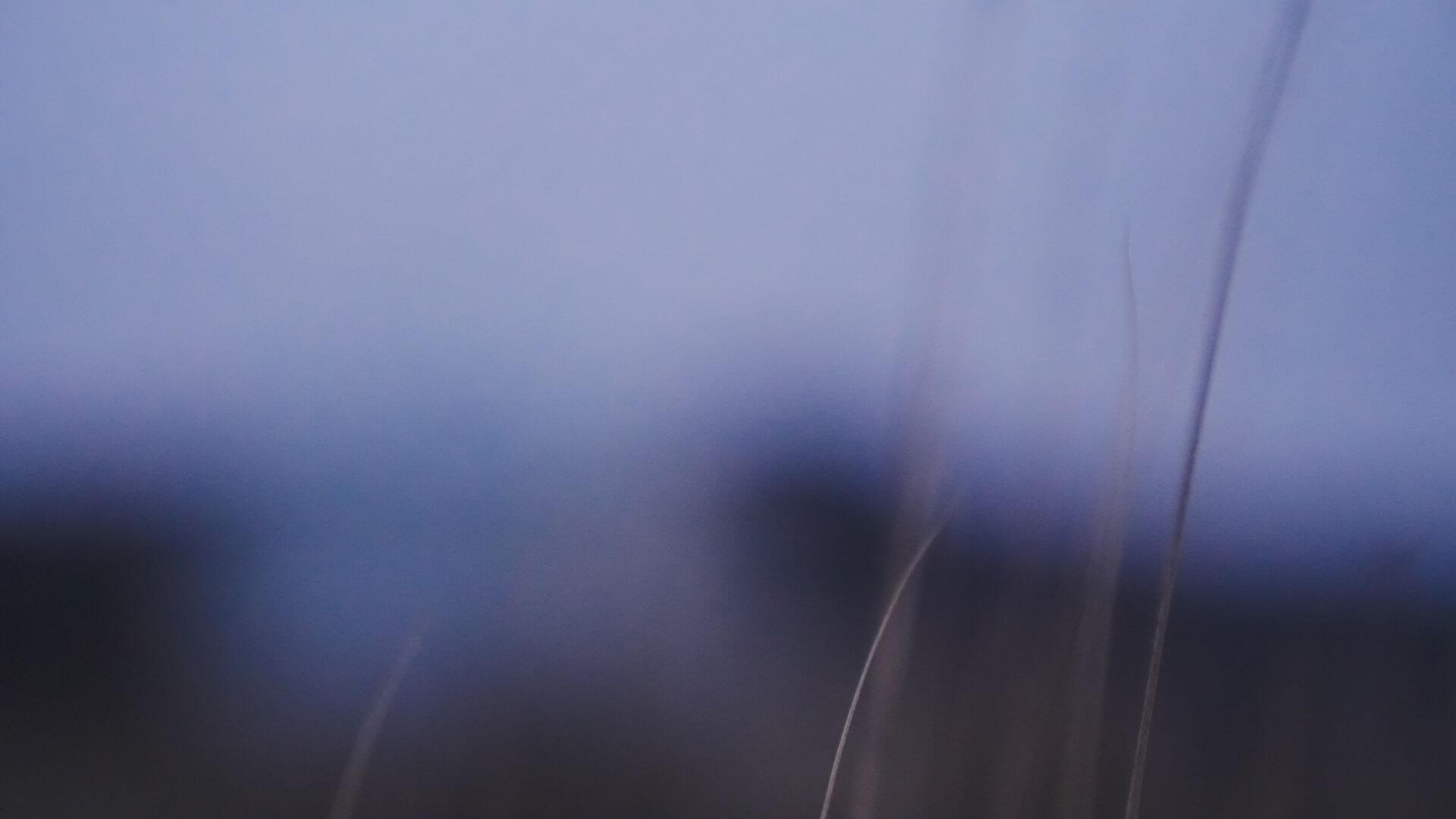 foggy image of a field