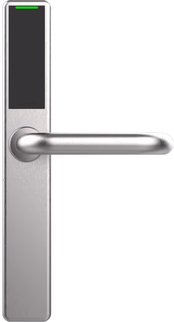 Electronic Locks
