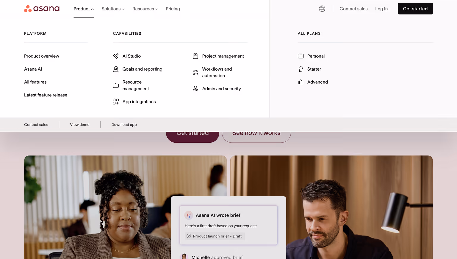 Asana Meganav Menu Example