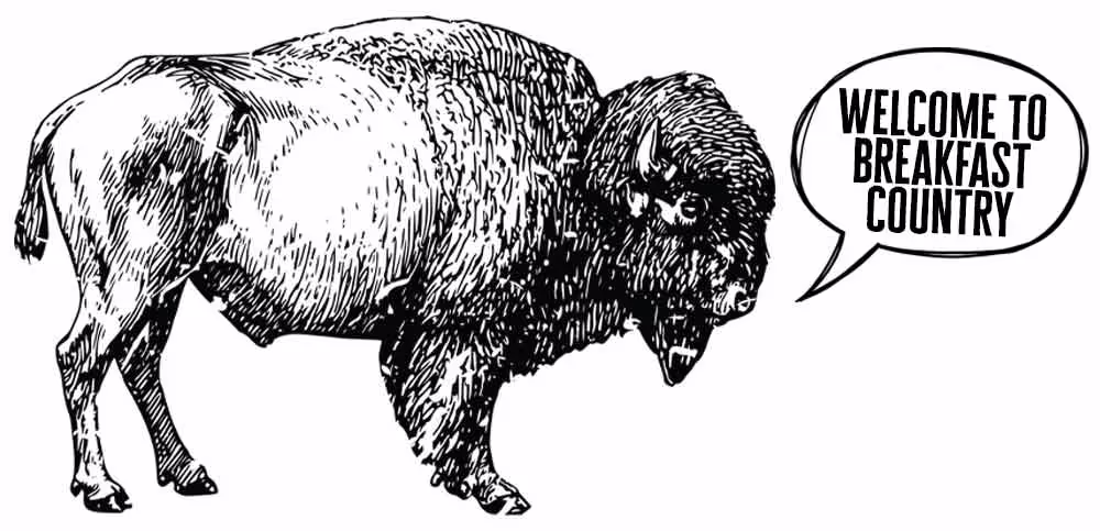 Buffalo graphic with a talking bubble